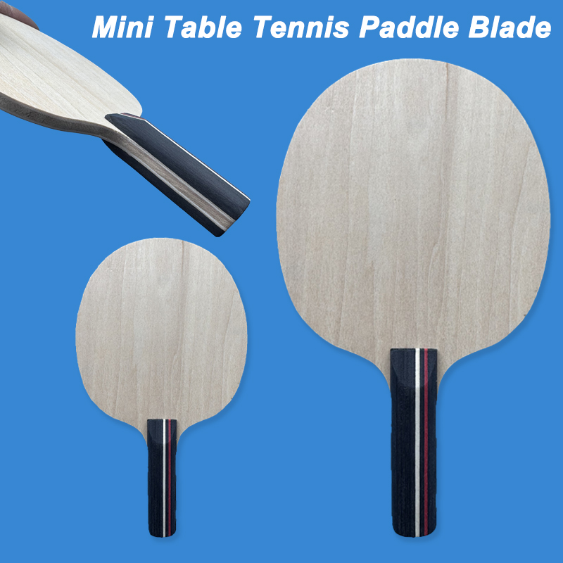 Raquette de tennis de table 5  - Badminton Background avis et prix