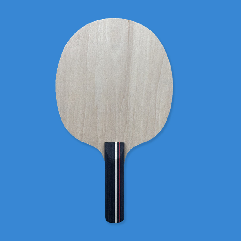 Raquette de tennis de table 5  - Badminton Background avis et prix